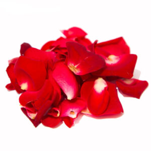 Pétalos de rosas
