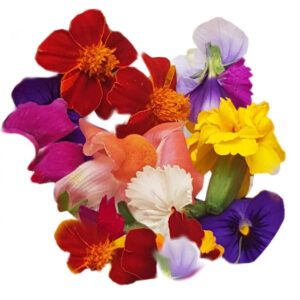 Mix de flores