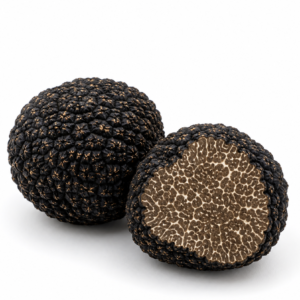 Trufa negra fresca